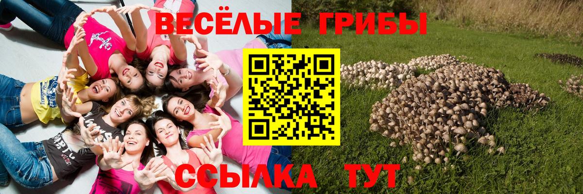 Псилоцибиновые грибы прущие грибы Изобильный